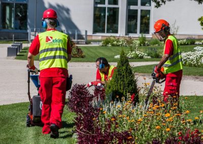 landschaftsbau gartenbau